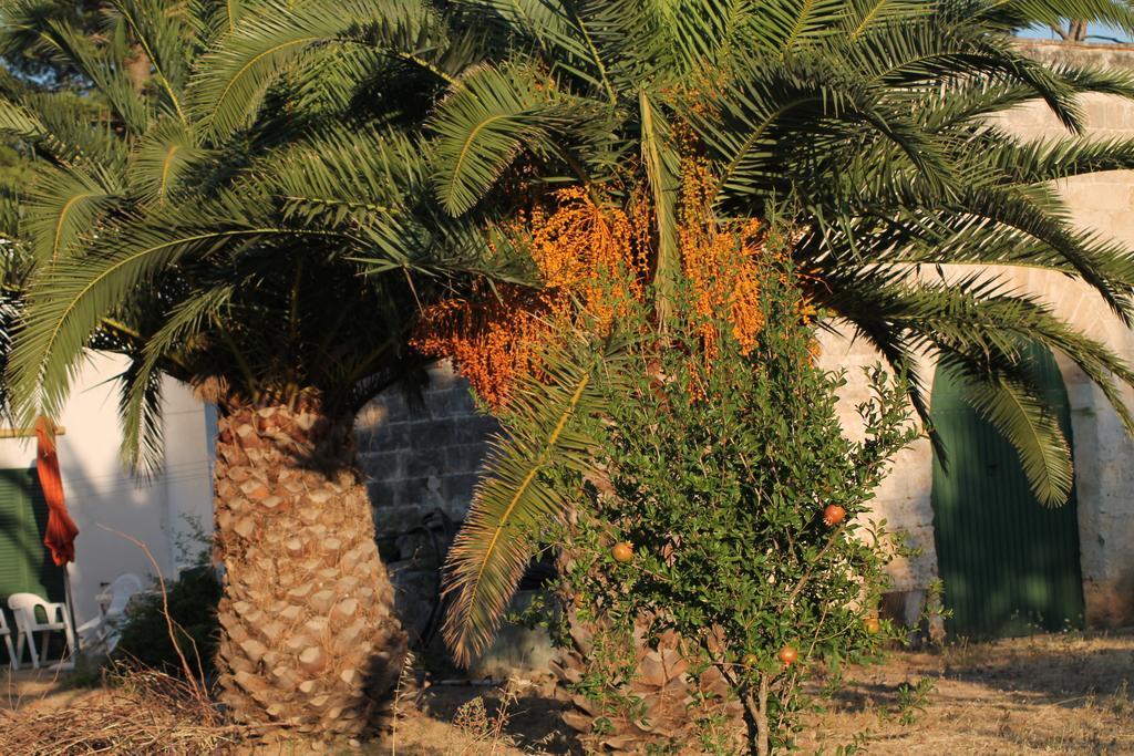 Masseria Vivi Il Salento Santa Caterina  ห้อง รูปภาพ