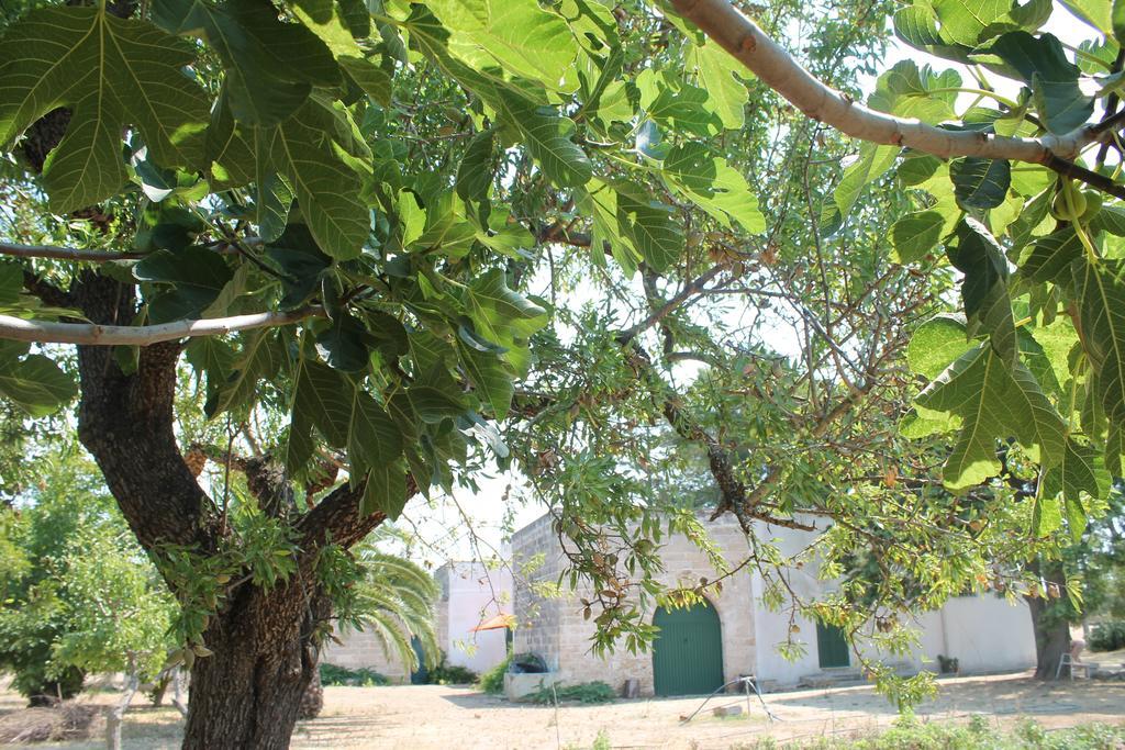 Masseria Vivi Il Salento Santa Caterina  ห้อง รูปภาพ