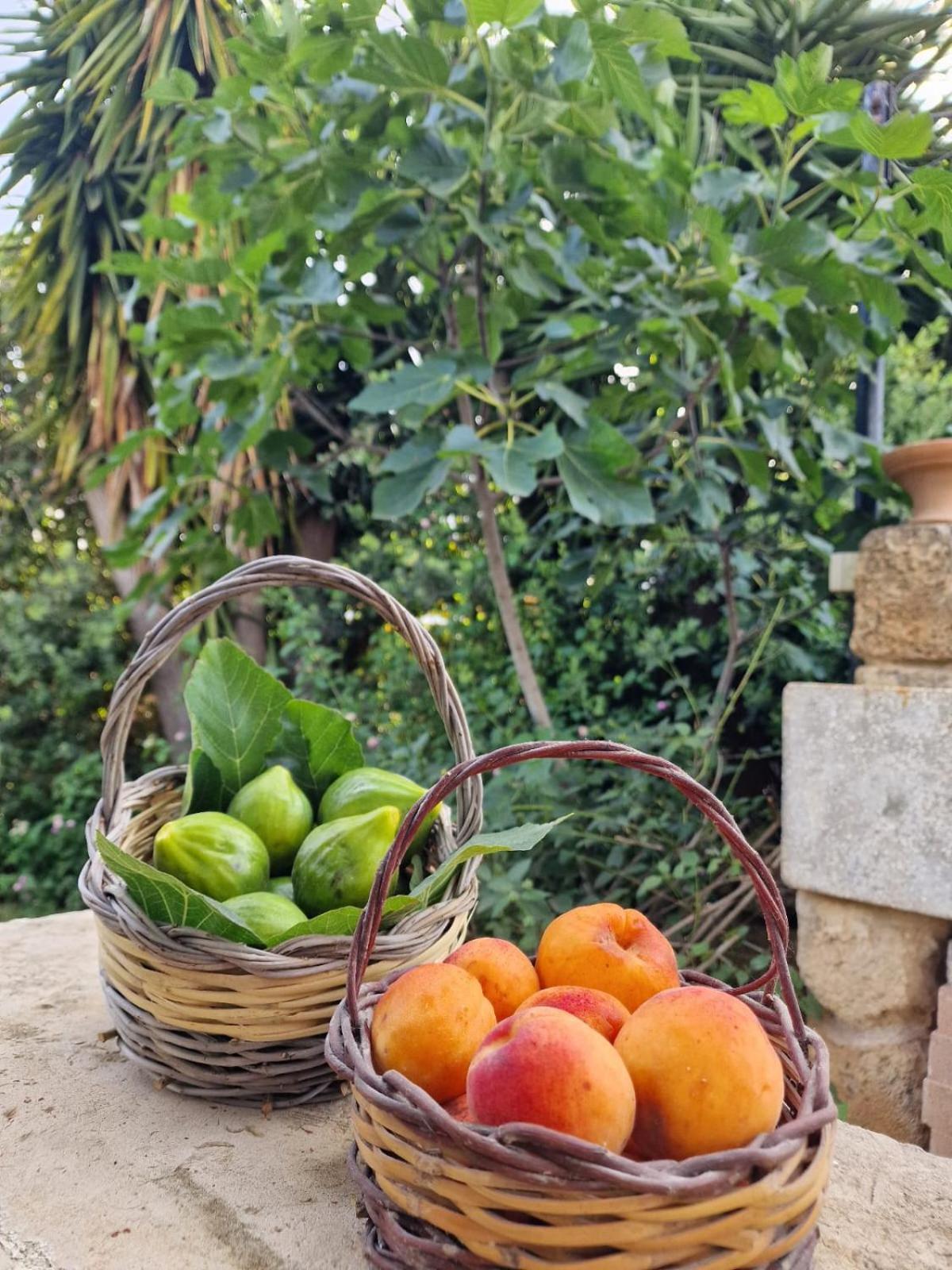 Masseria Vivi Il Salento Santa Caterina  ภายนอก รูปภาพ