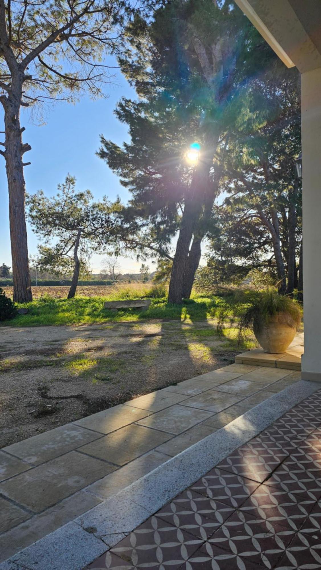 Masseria Vivi Il Salento Santa Caterina  ภายนอก รูปภาพ