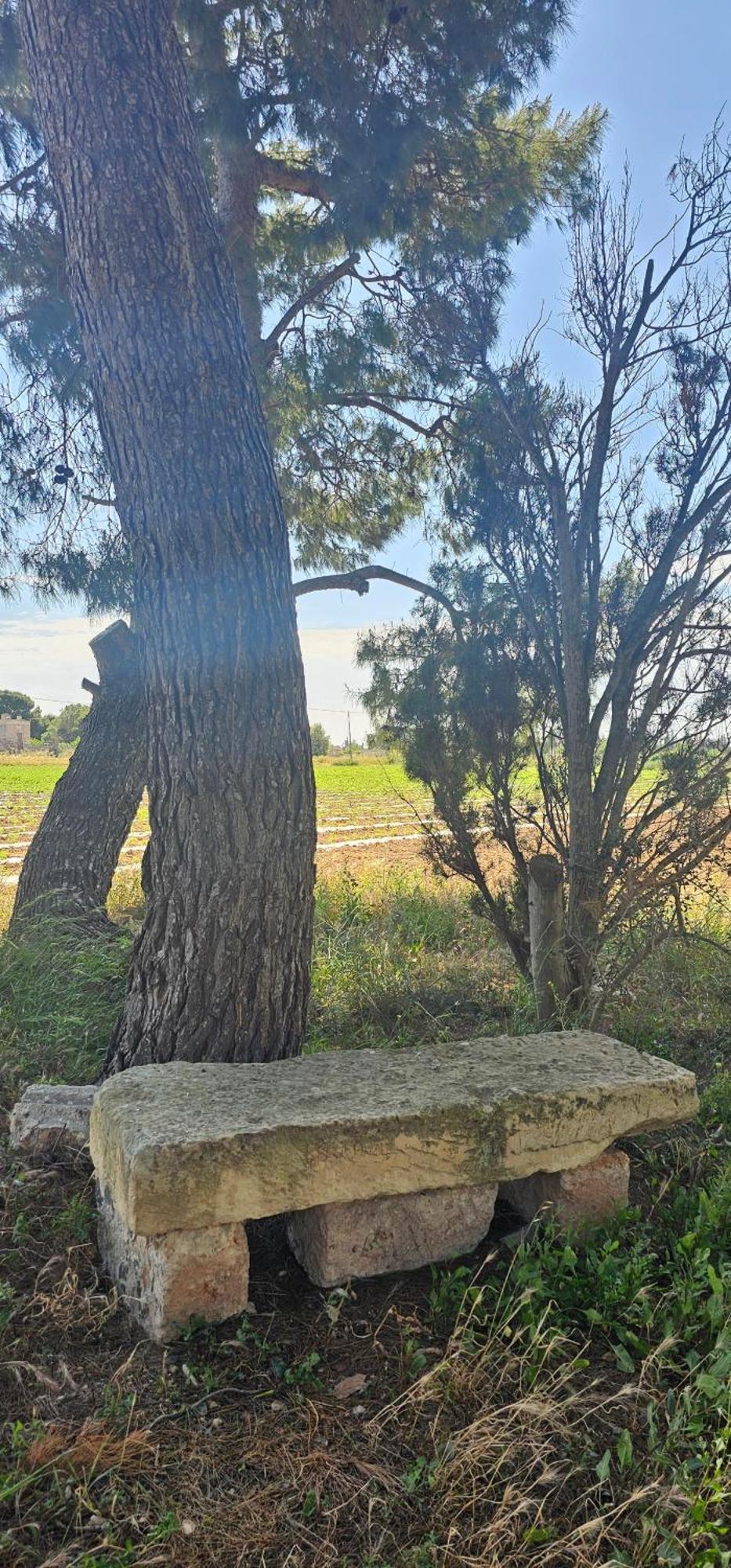 Masseria Vivi Il Salento Santa Caterina  ภายนอก รูปภาพ