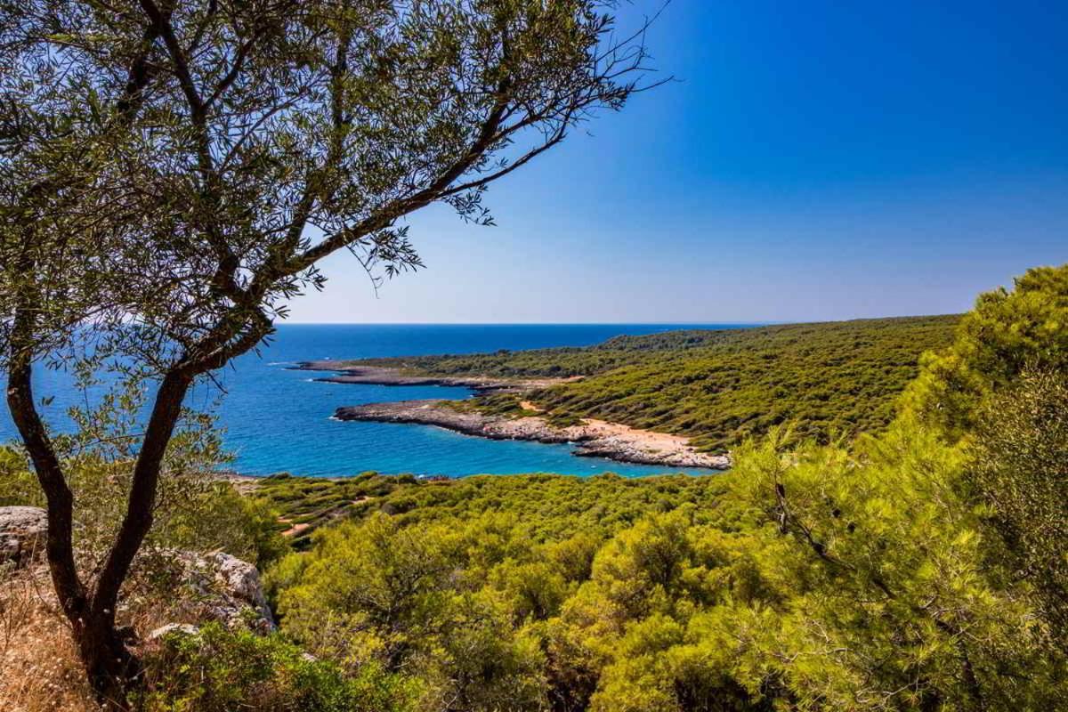 Masseria Vivi Il Salento Santa Caterina  ภายนอก รูปภาพ