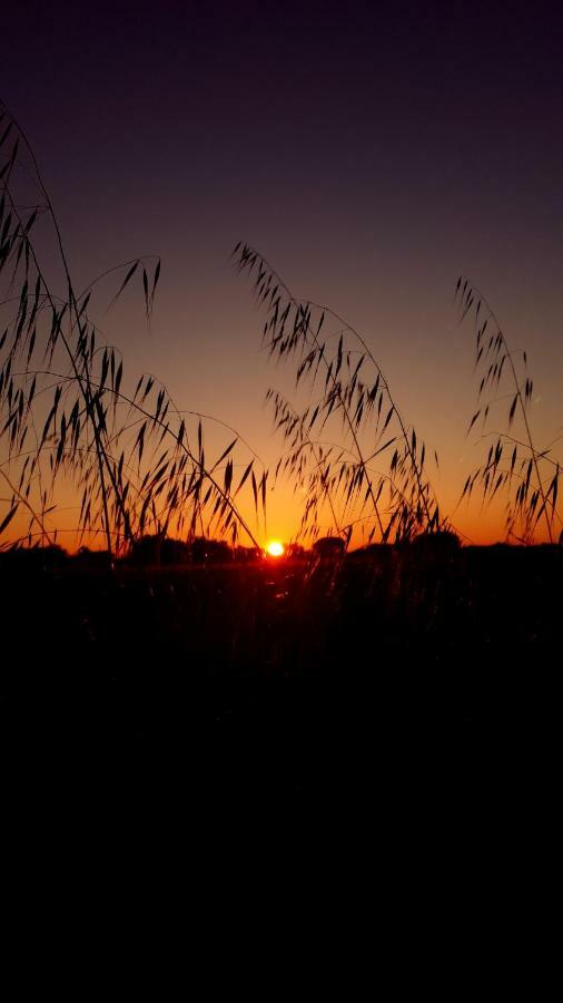 Masseria Vivi Il Salento Santa Caterina  ภายนอก รูปภาพ
