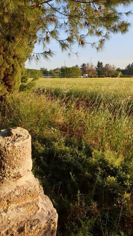 Masseria Vivi Il Salento Santa Caterina  ภายนอก รูปภาพ